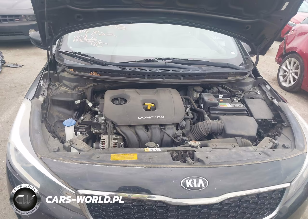 2017 Kia Forte Lx VIN:3KPFK4A75HE064822 - 10