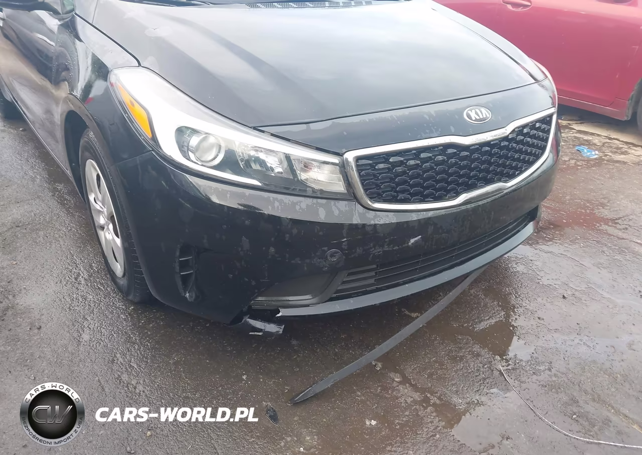 2017 Kia Forte Lx VIN:3KPFK4A75HE064822 - 18