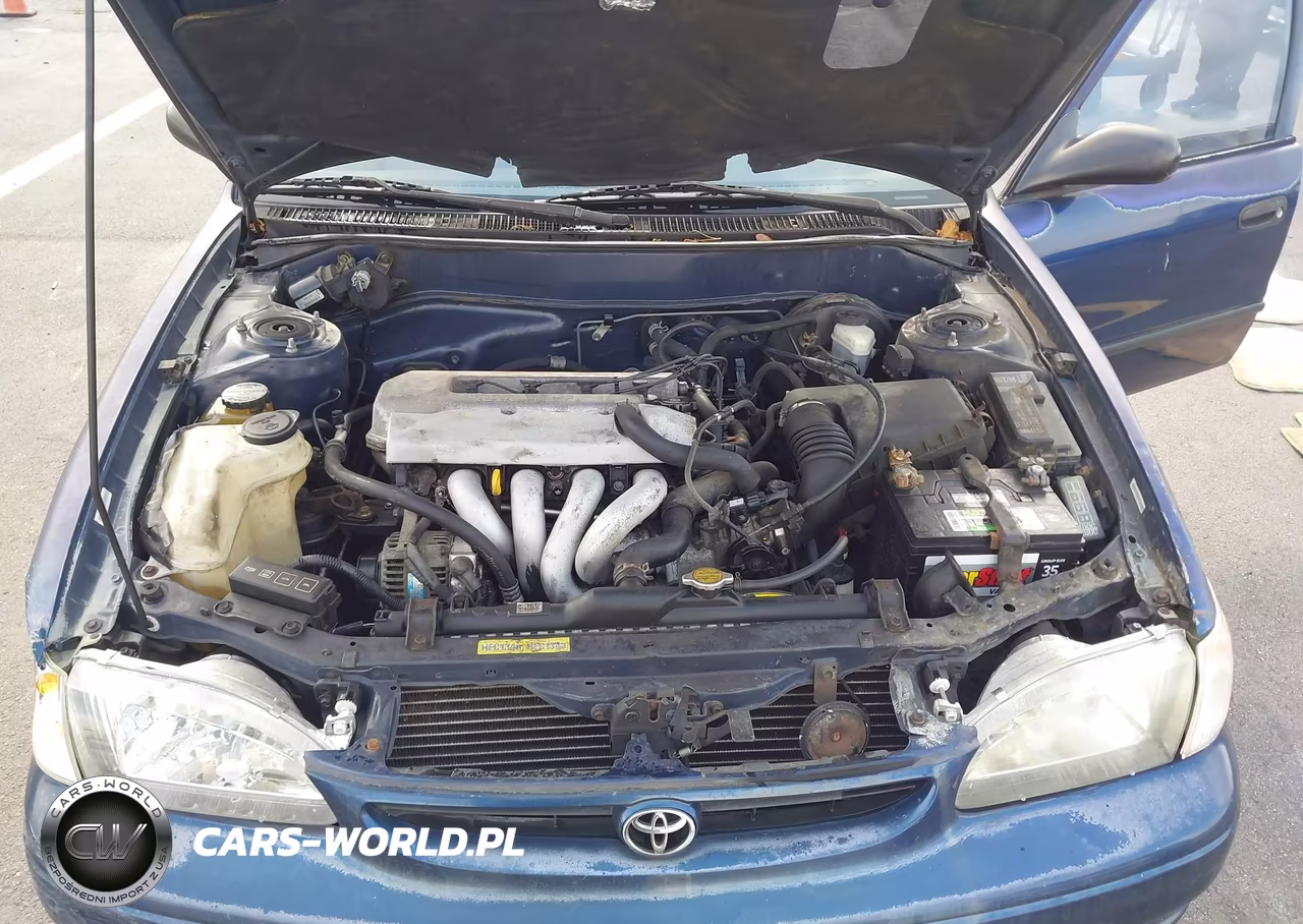 1998 Toyota Corolla Ve VIN:1NXBR12E8WZ120445 - 10