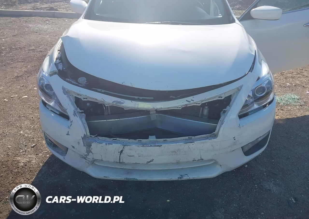 NISSAN ALTIMA VIN:1N4AL3AP7DC170293 - 6