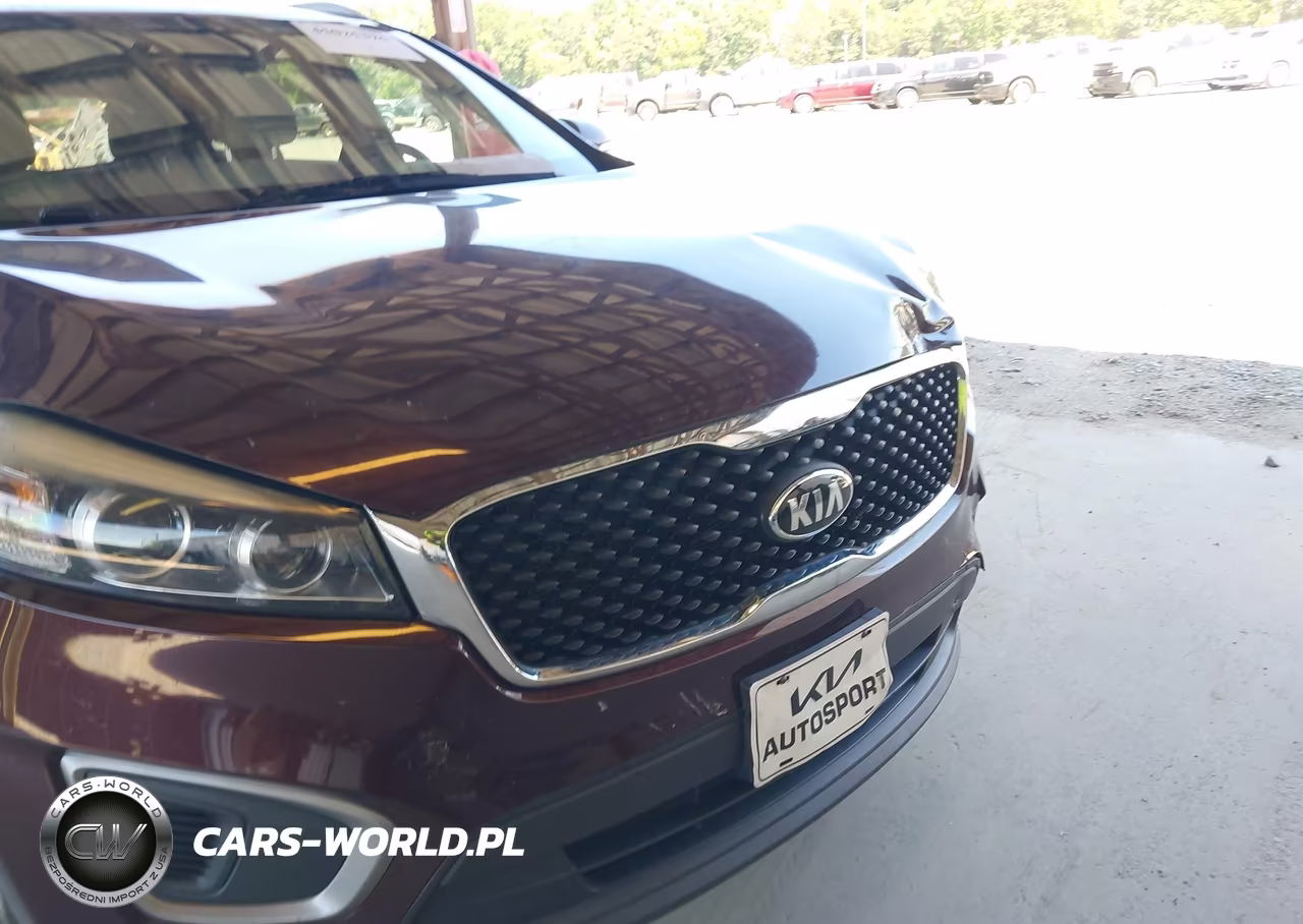 2016 Kia Sorento 2.4L Lx VIN:5XYPG4A30GG145442 - 13