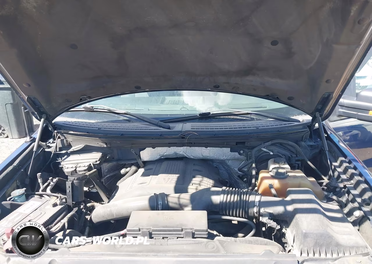 2011 Ford F-150 Xlt VIN:1FTFW1ET2BFA52800 - 10