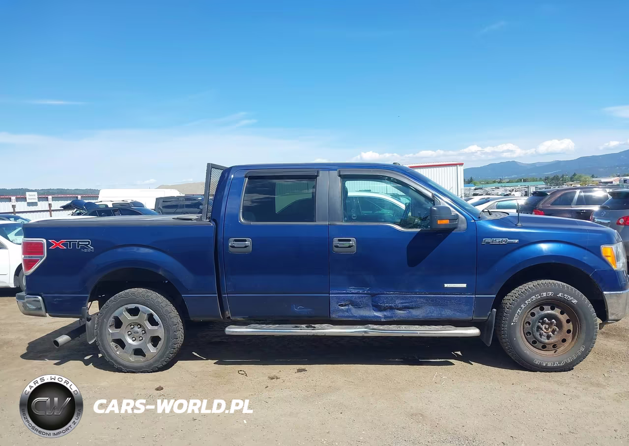 2011 Ford F-150 Xlt VIN:1FTFW1ET2BFA52800 - 13