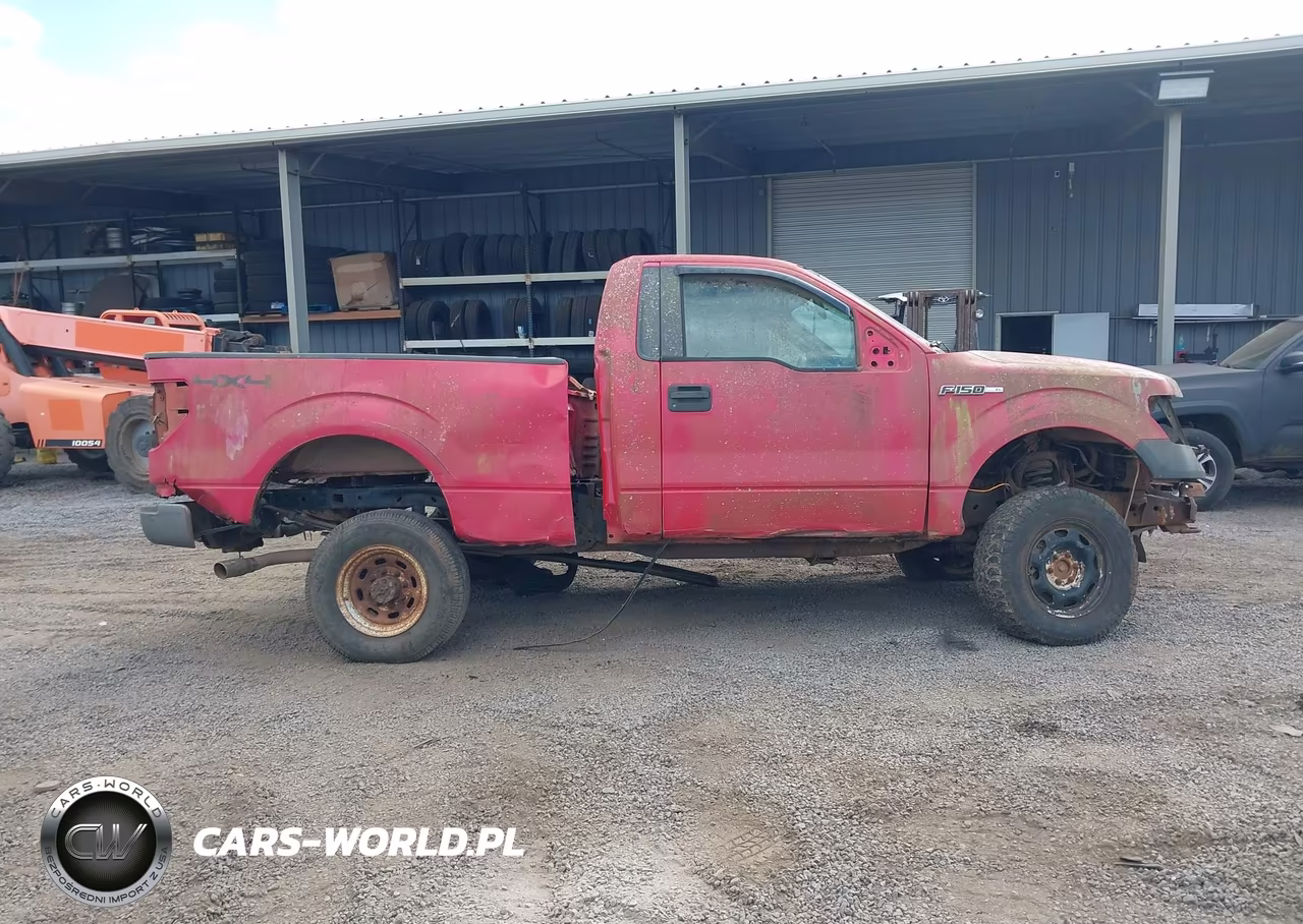 2010 Ford F-150 Stx-Xl-Xlt VIN:1FTMF1EW2AFD19319 - 13