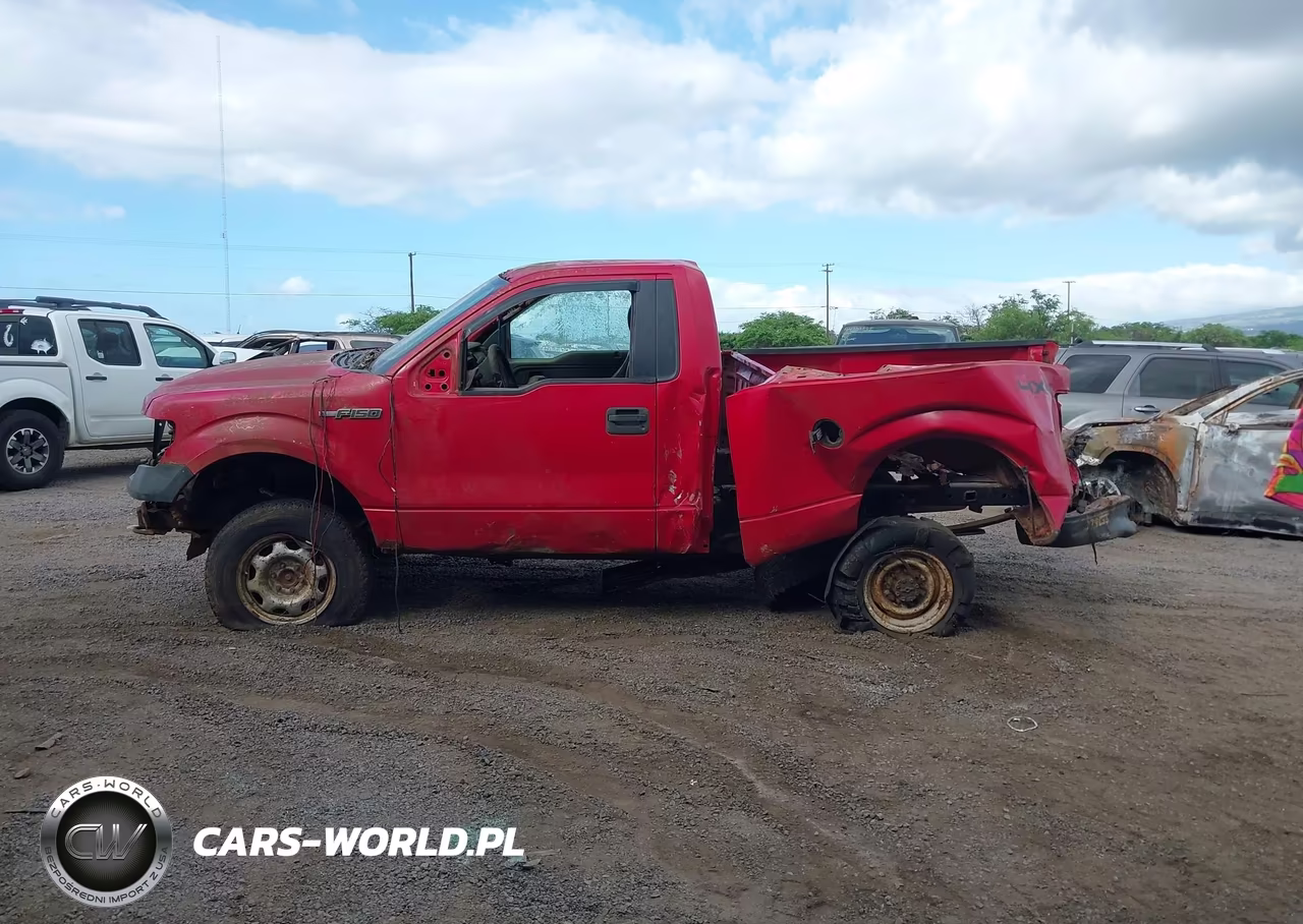2010 Ford F-150 Stx-Xl-Xlt VIN:1FTMF1EW2AFD19319 - 14