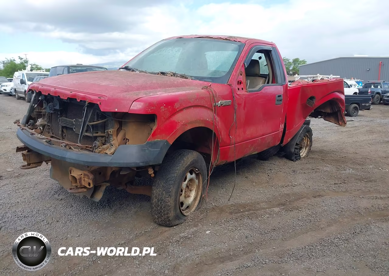 2010 Ford F-150 Stx-Xl-Xlt VIN:1FTMF1EW2AFD19319 - 2