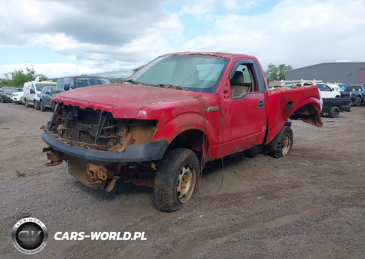 2010 Ford F-150 Stx-Xl-Xlt VIN:1FTMF1EW2AFD19319 - 6