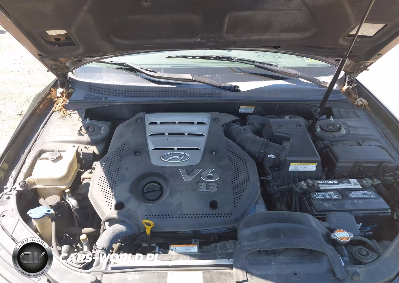 2006 Hyundai Sonata Gls V6-Lx V6 VIN:5NPEU46F16H053122 - 10