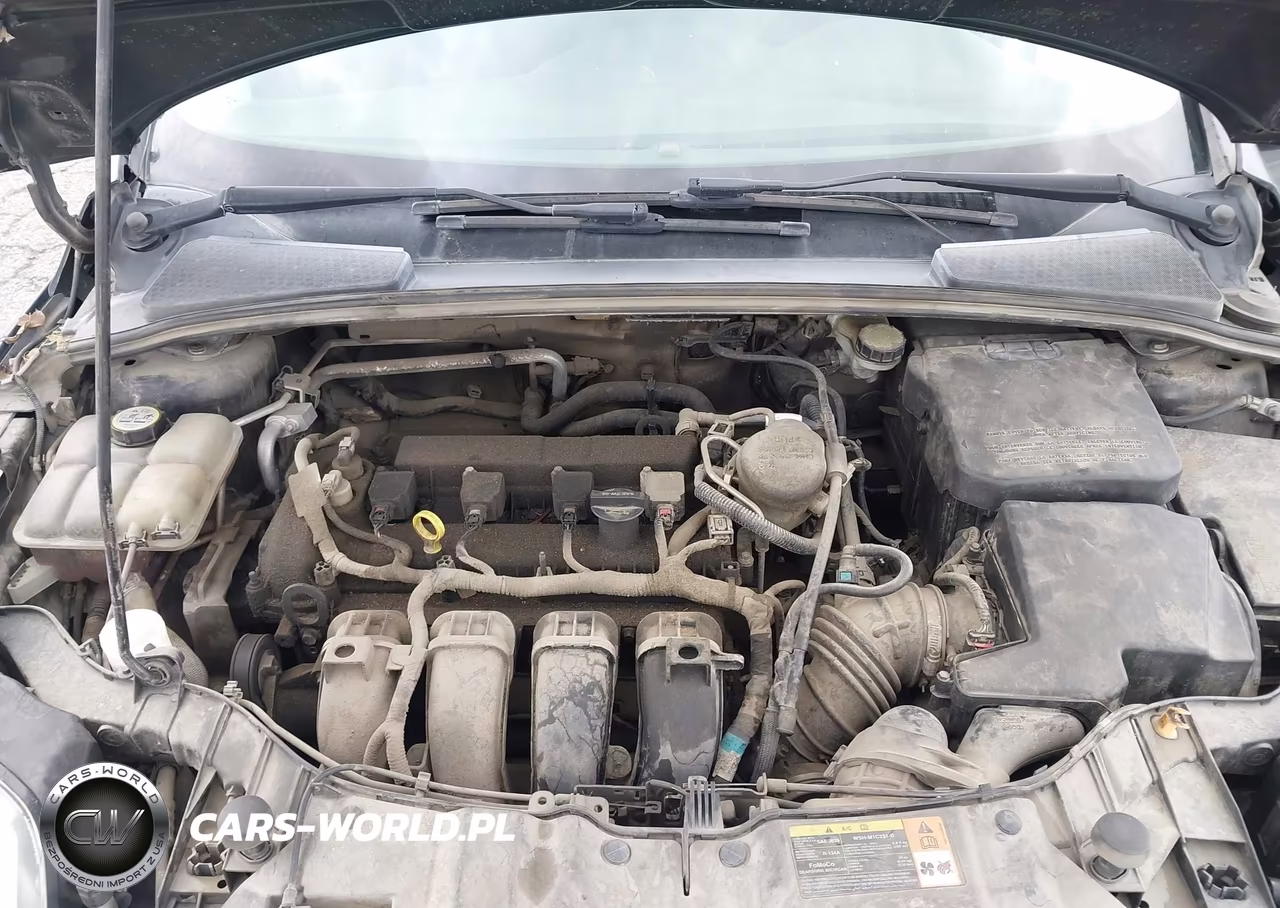 2013 Ford Focus Se VIN:1FADP3K21DL362880 - 10