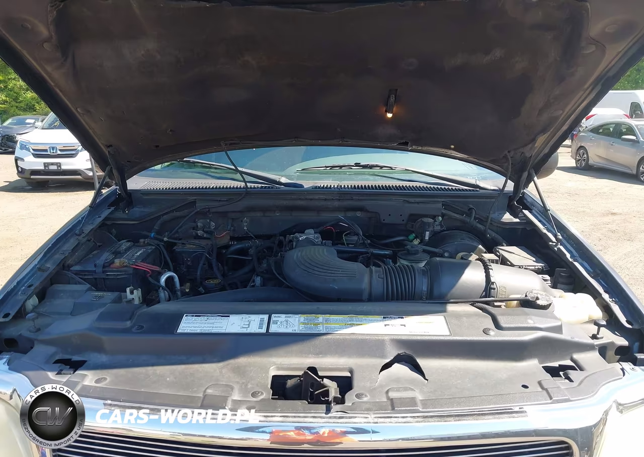 1999 Ford Expedition Eddie Bauer-Xlt VIN:1FMRU17L1XLC48327 - 10