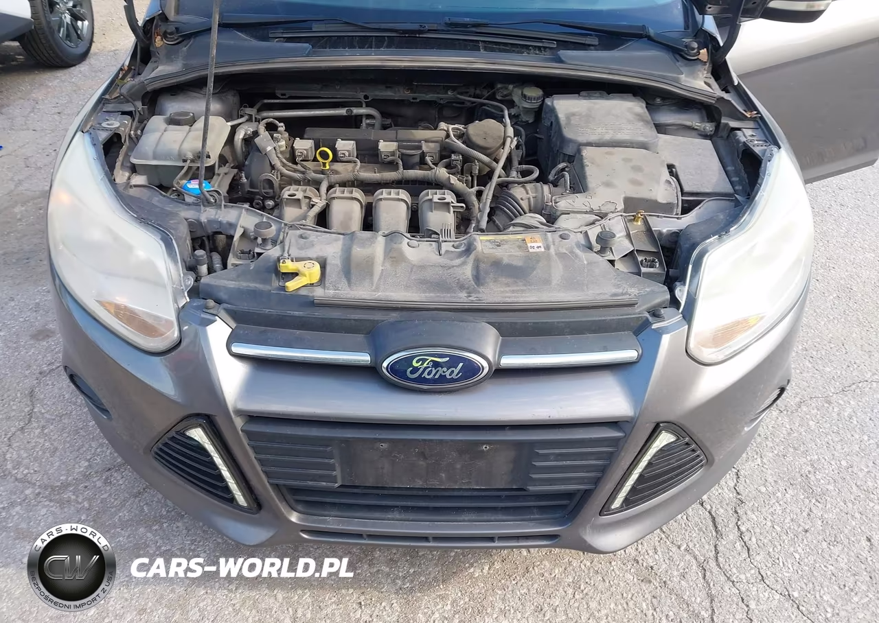 2014 Ford Focus Se VIN:1FADP3K29EL208998 - 10