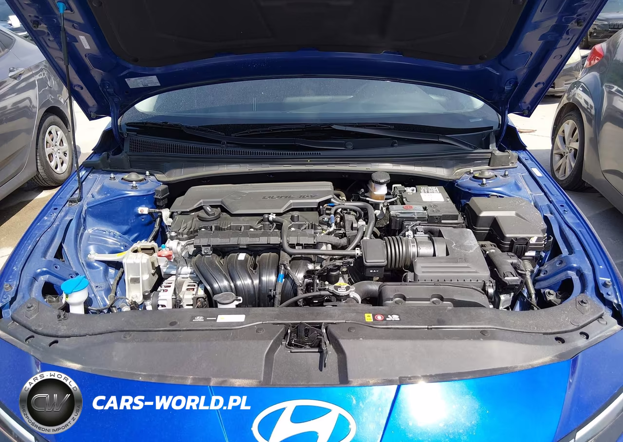 2024 Hyundai Elantra Sel VIN:KMHLS4DG1RU844636 - 10