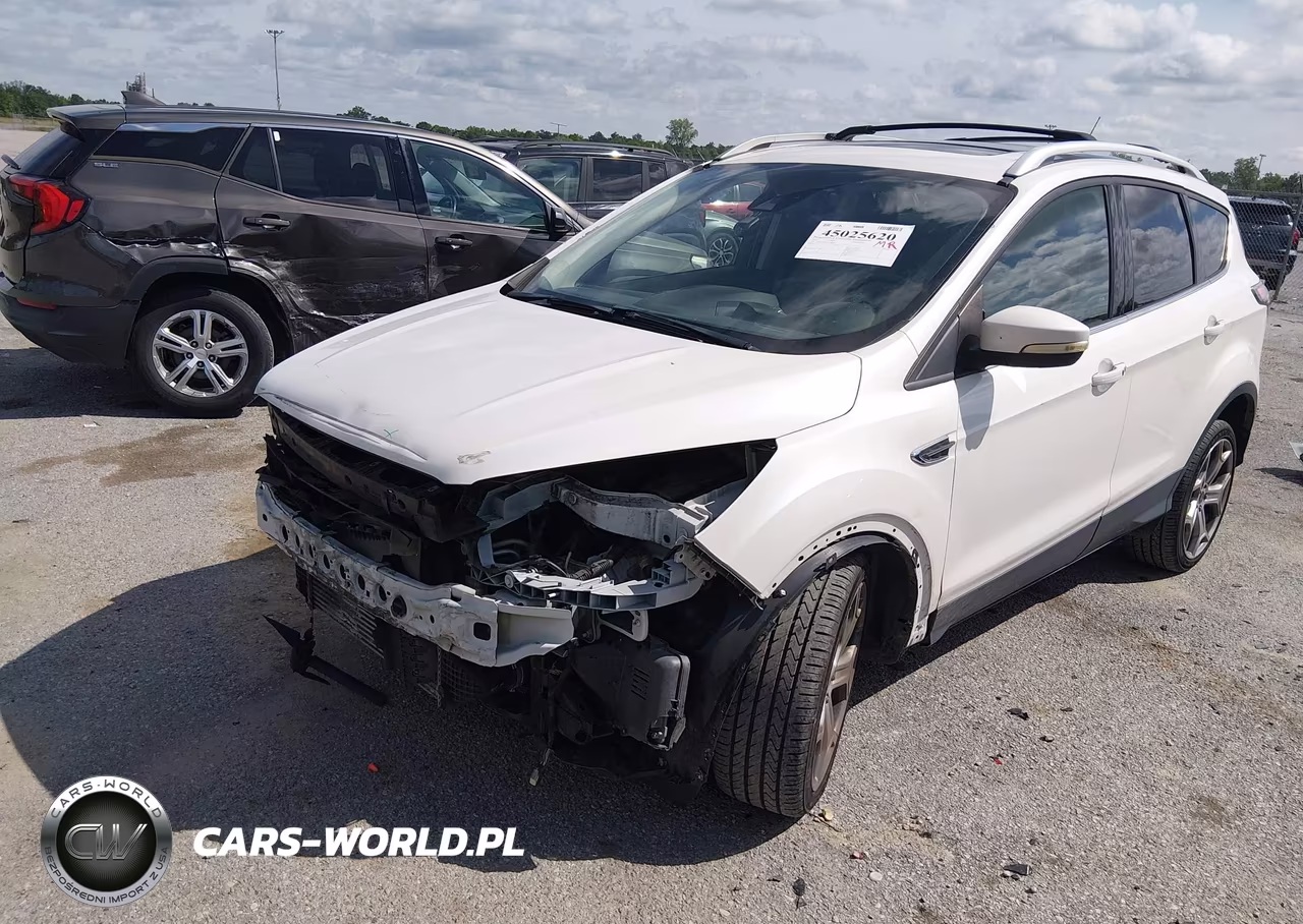 2017 Ford Escape Titanium VIN:1FMCU0J91HUA08851 - 2