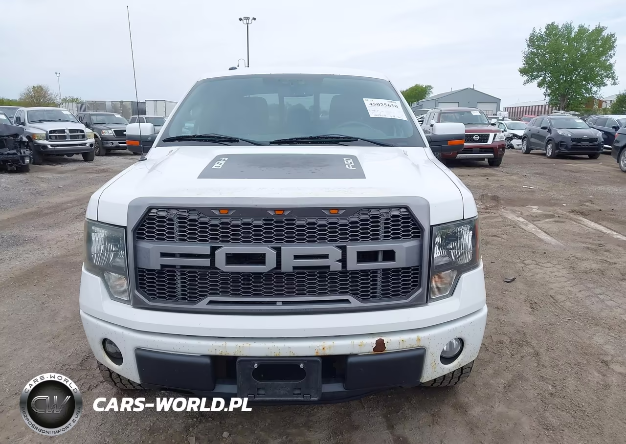 2011 Ford F-150 Fx4 VIN:1FTFW1EF3BFA08234 - 12