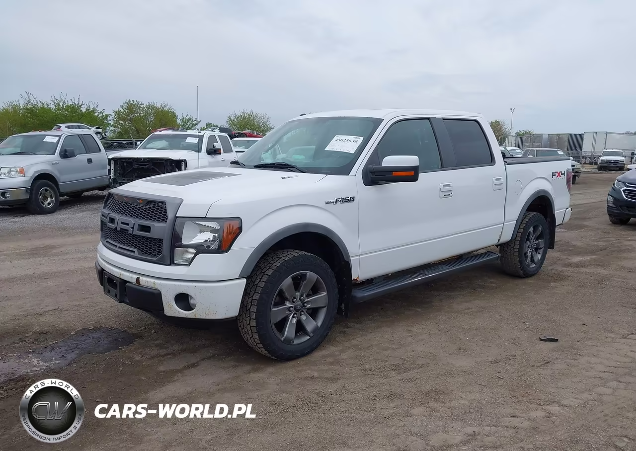 2011 Ford F-150 Fx4 VIN:1FTFW1EF3BFA08234 - 2
