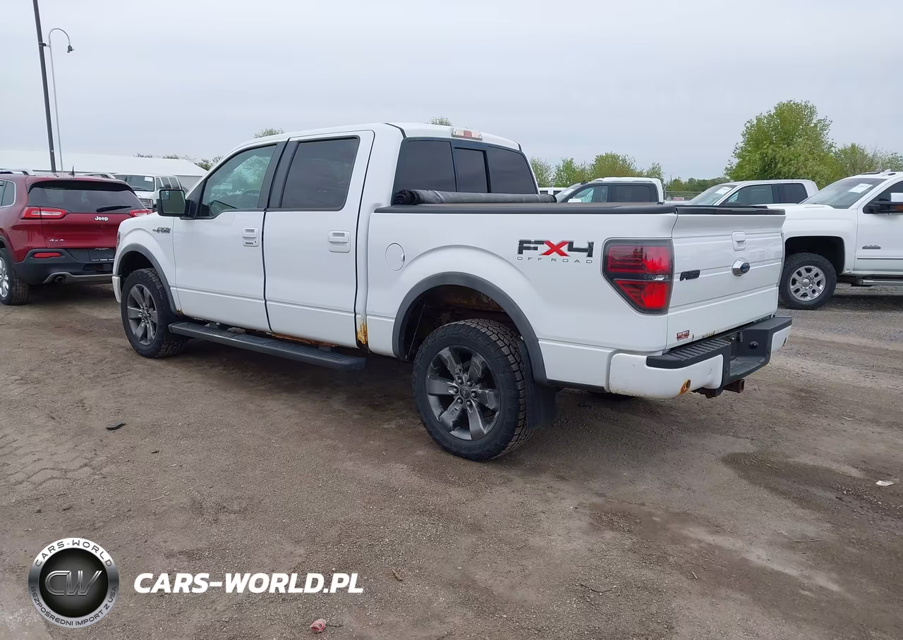 2011 Ford F-150 Fx4 VIN:1FTFW1EF3BFA08234 - 3