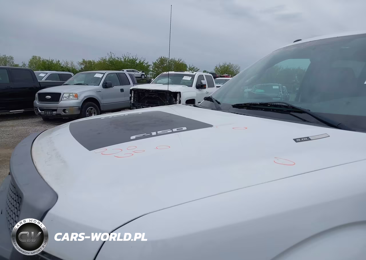 2011 Ford F-150 Fx4 VIN:1FTFW1EF3BFA08234 - 6