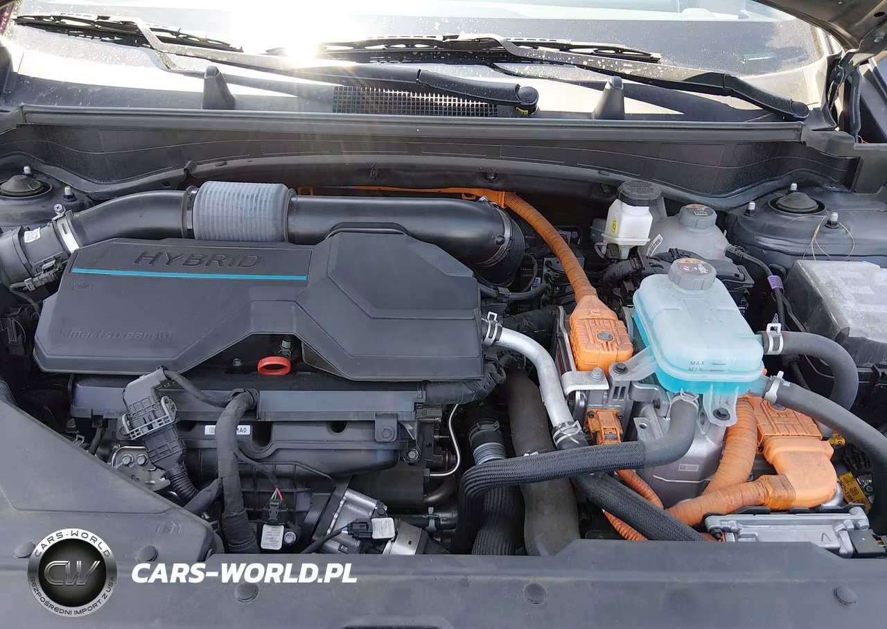 2024 Kia Sportage Plug-In Hybrid X-Line Prestige VIN:KNDPZDDHXR7122803 - 10