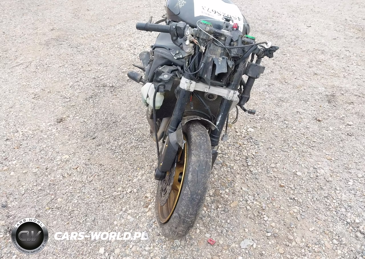 2016 Kawasaki Zx636 F VIN:JKBZXJF10GA008117 - 16