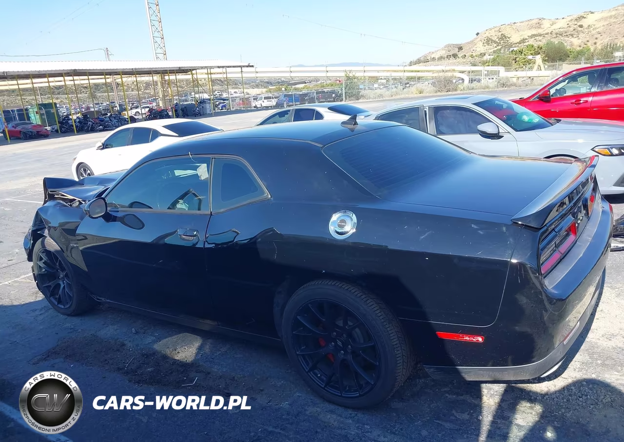 2019 Dodge Challenger R-T VIN:2C3CDZBTXKH637462 - 14