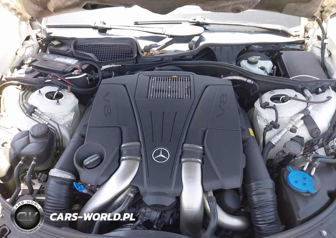 2013 Mercedes-Benz S 550 VIN:WDDNG7DB7DA525892 - 10