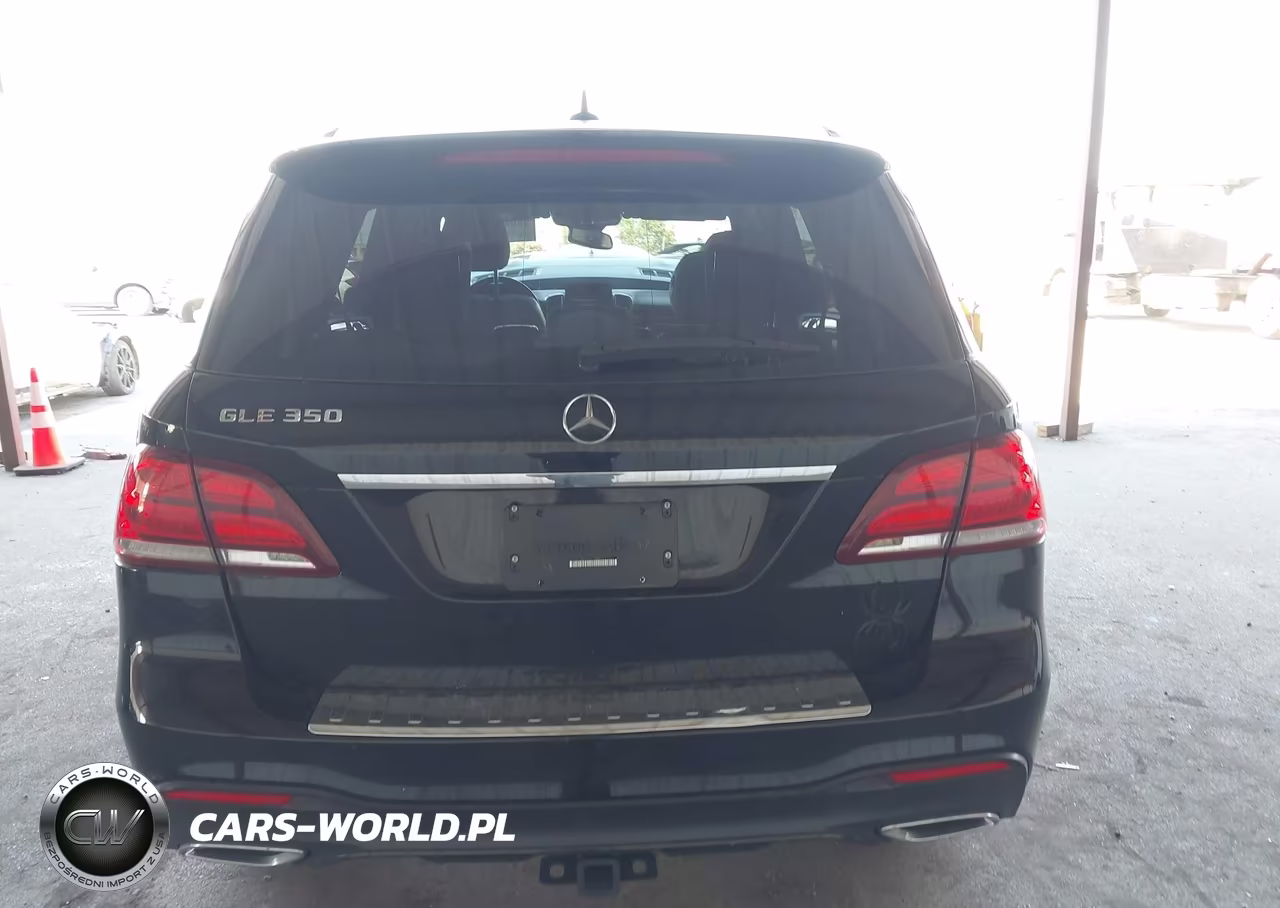 2017 Mercedes-Benz Gle 350 VIN:4JGDA5JB5HA911454 - 16