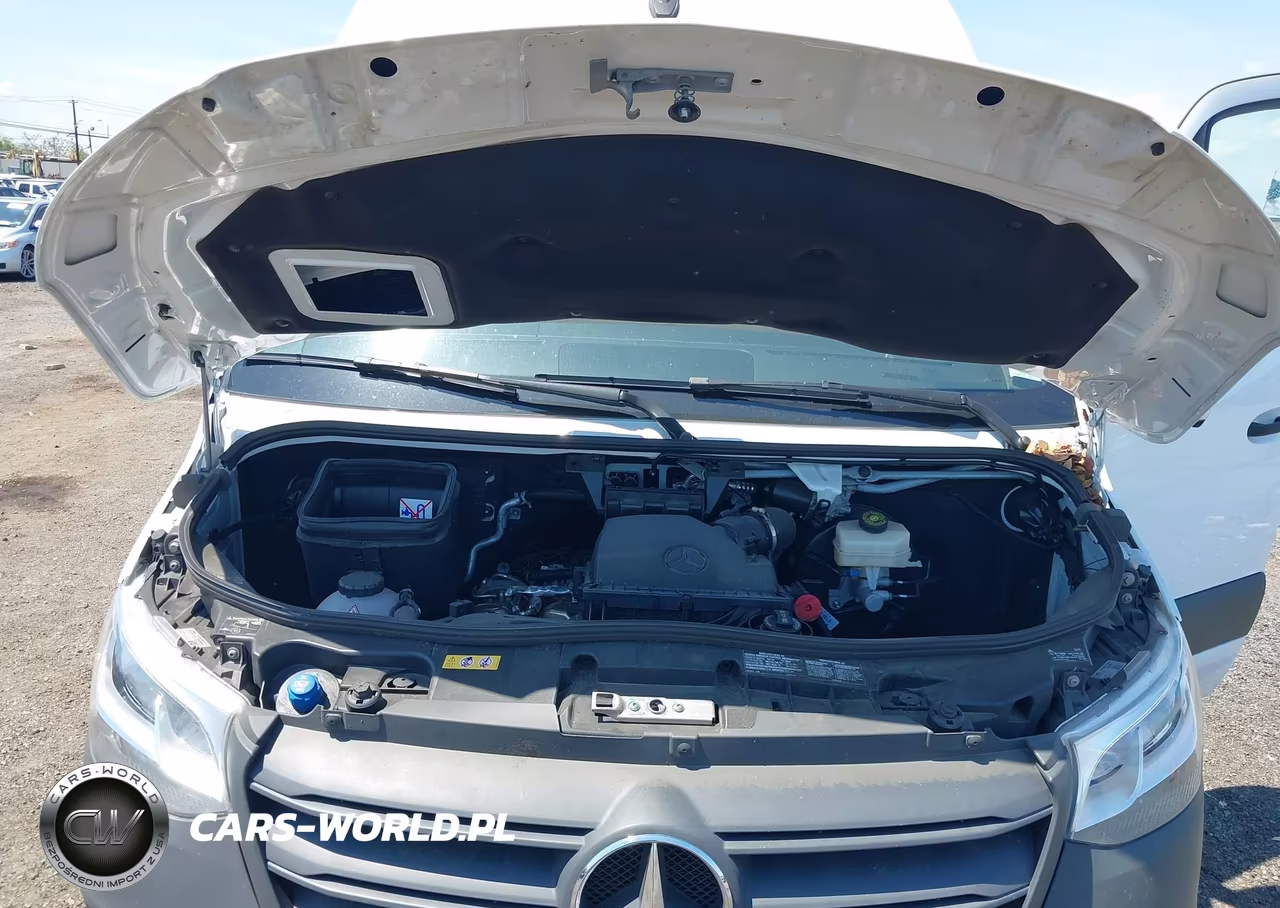 2024 Mercedes-Benz Sprinter 2500 High Roof 4-Cyl Diesel Ho VIN:W1Y4NCHY4RT190486 - 10