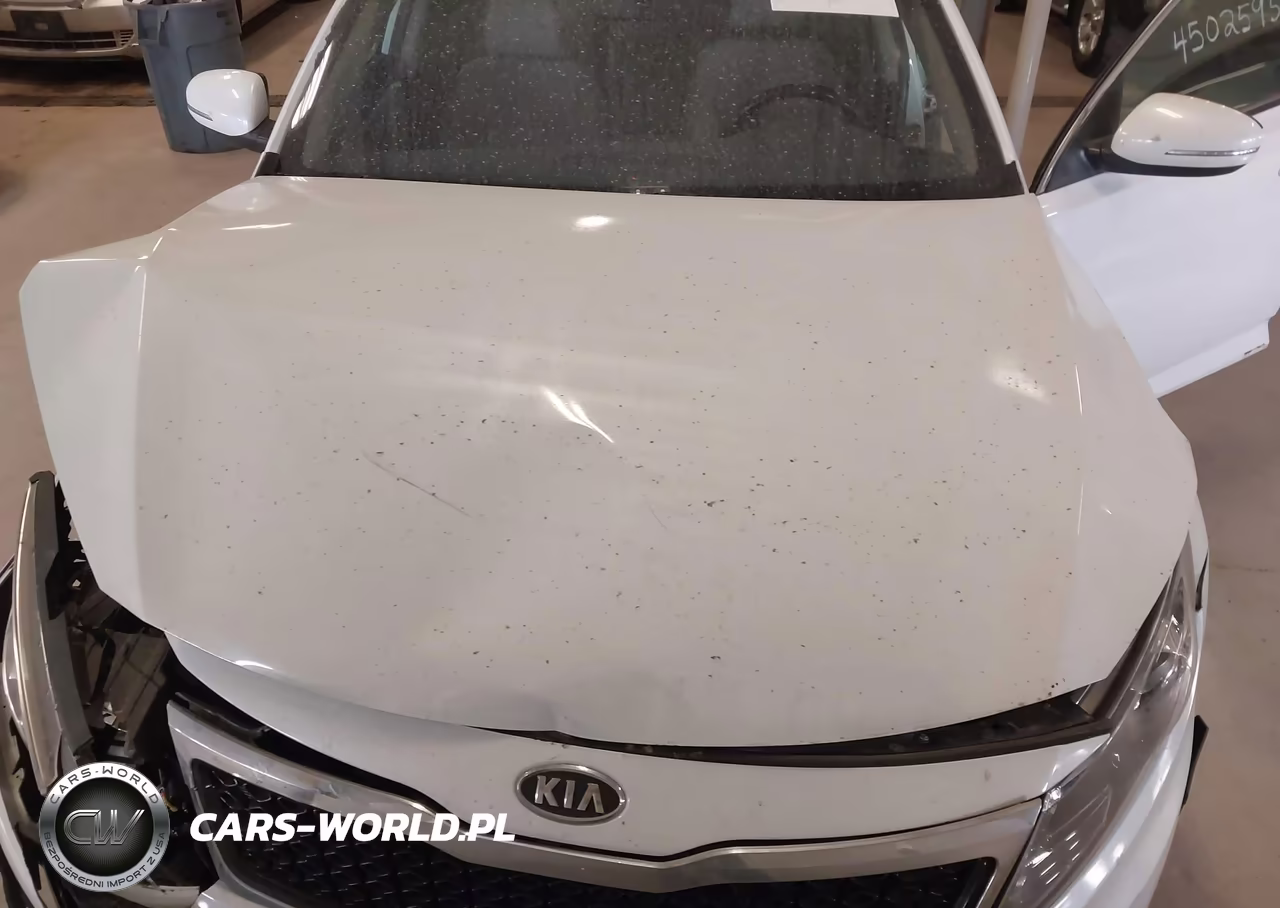 2012 Kia Optima Ex VIN:5XXGN4A77CG036757 - 10