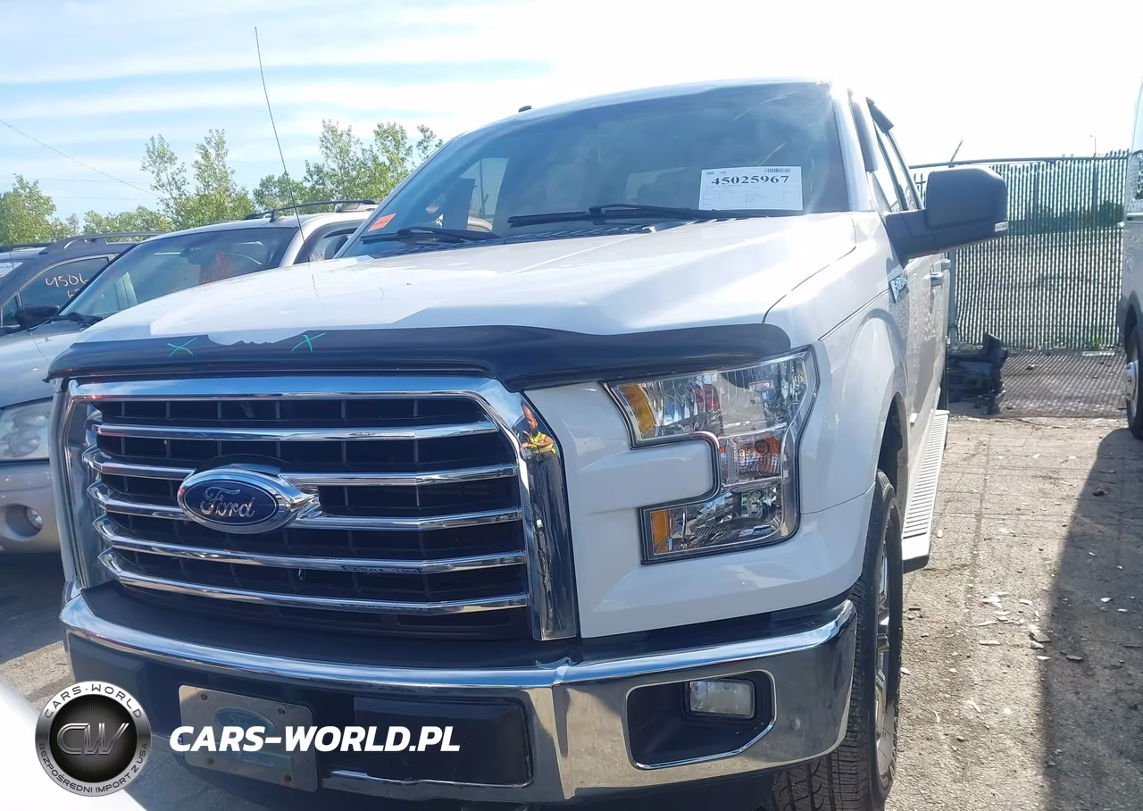 2016 Ford F-150 Xlt VIN:1FTEW1EP4GFA76859 - 12