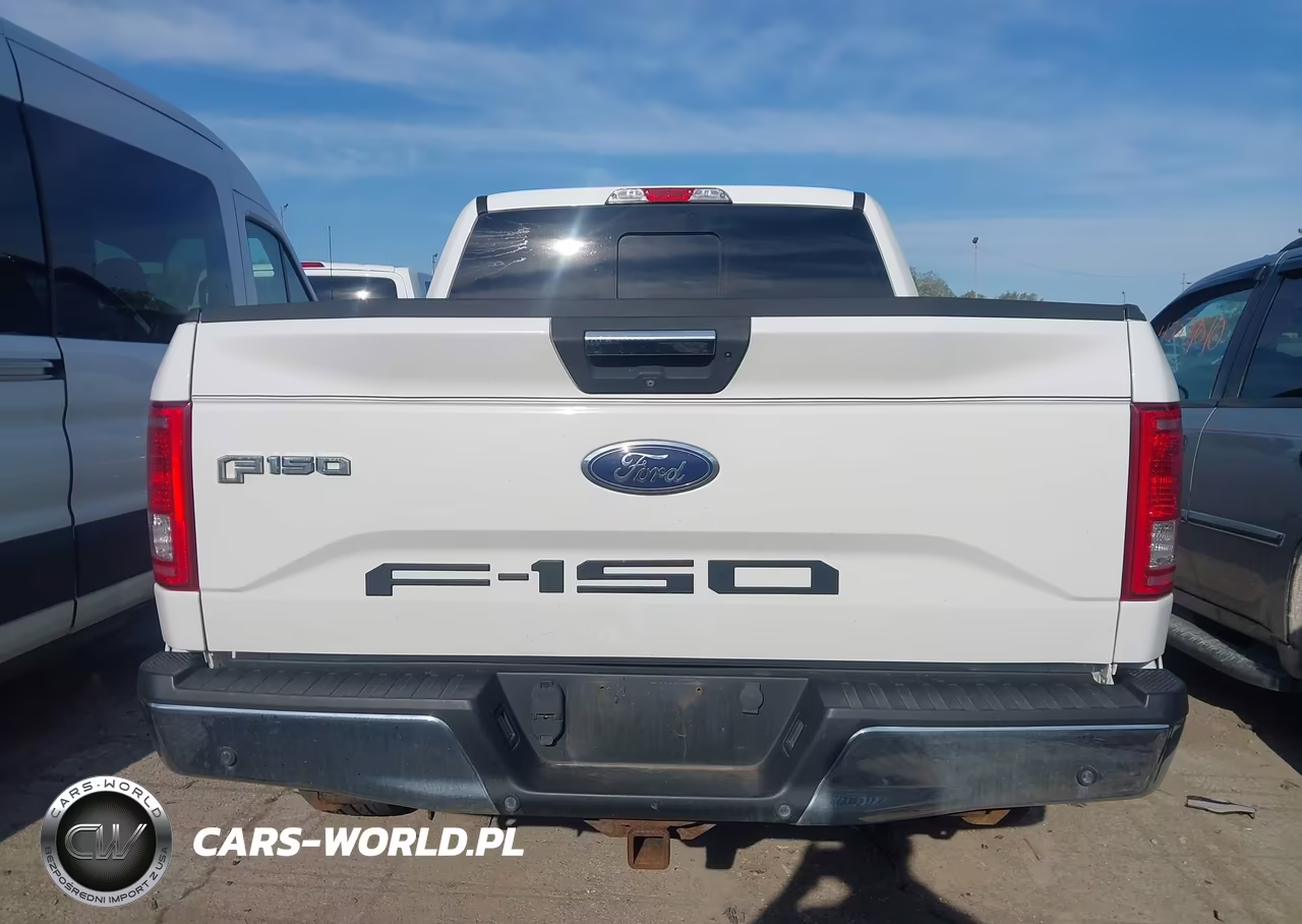 2016 Ford F-150 Xlt VIN:1FTEW1EP4GFA76859 - 16