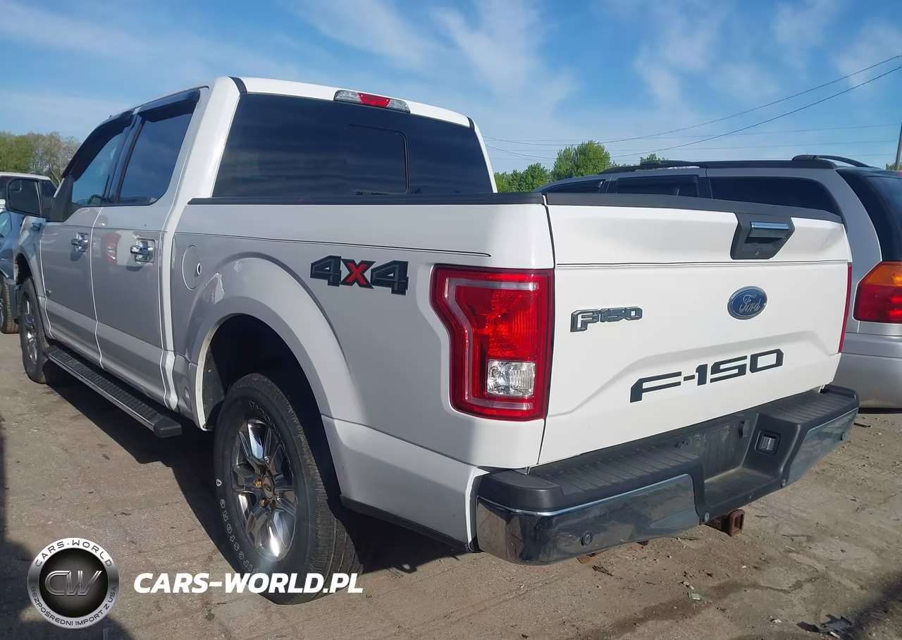 2016 Ford F-150 Xlt VIN:1FTEW1EP4GFA76859 - 3