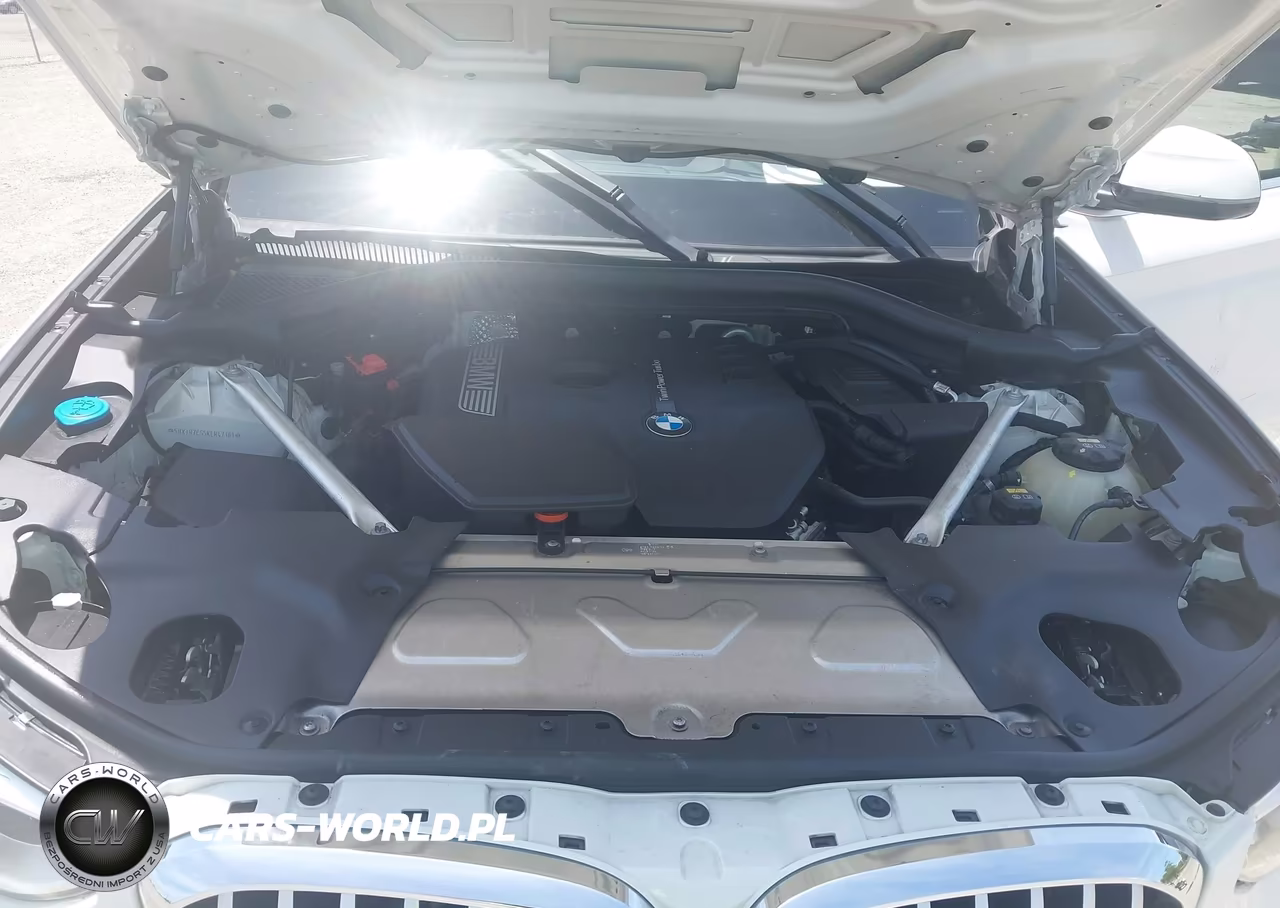 2019 BMW X3 Sdrive30I VIN:5UXTR7C55KLR47361 - 10