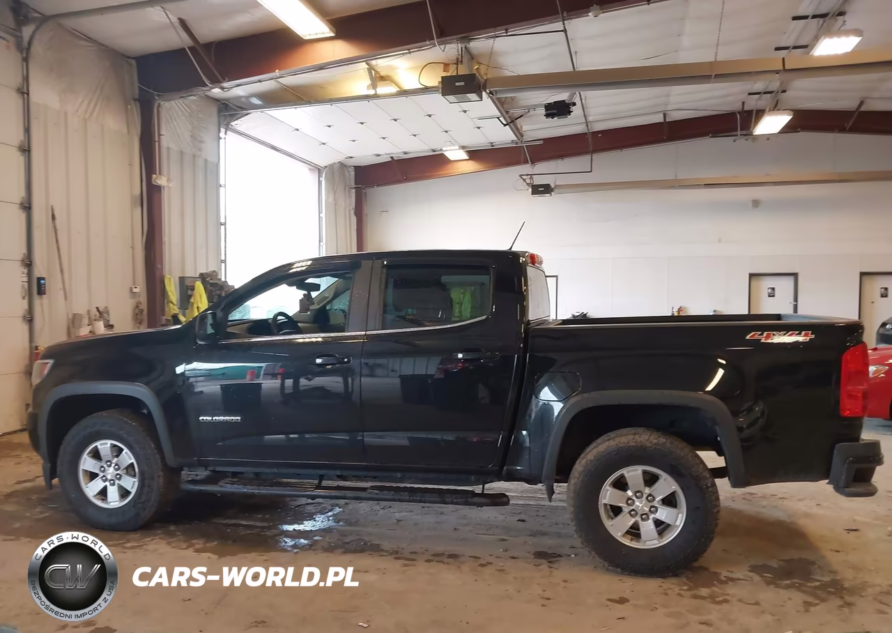 2019 Chevrolet Colorado Wt VIN:1GCGTBEN7K1318202 - 13