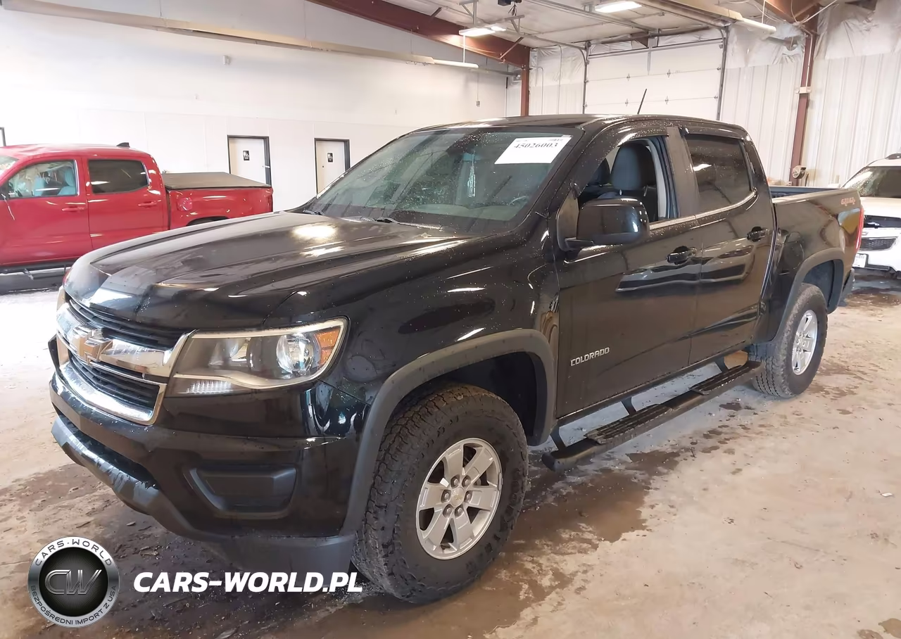 2019 Chevrolet Colorado Wt VIN:1GCGTBEN7K1318202 - 2