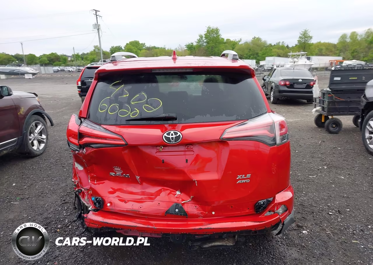 2016 Toyota Rav4 Xle VIN:2T3RFREV1GW436067 - 16