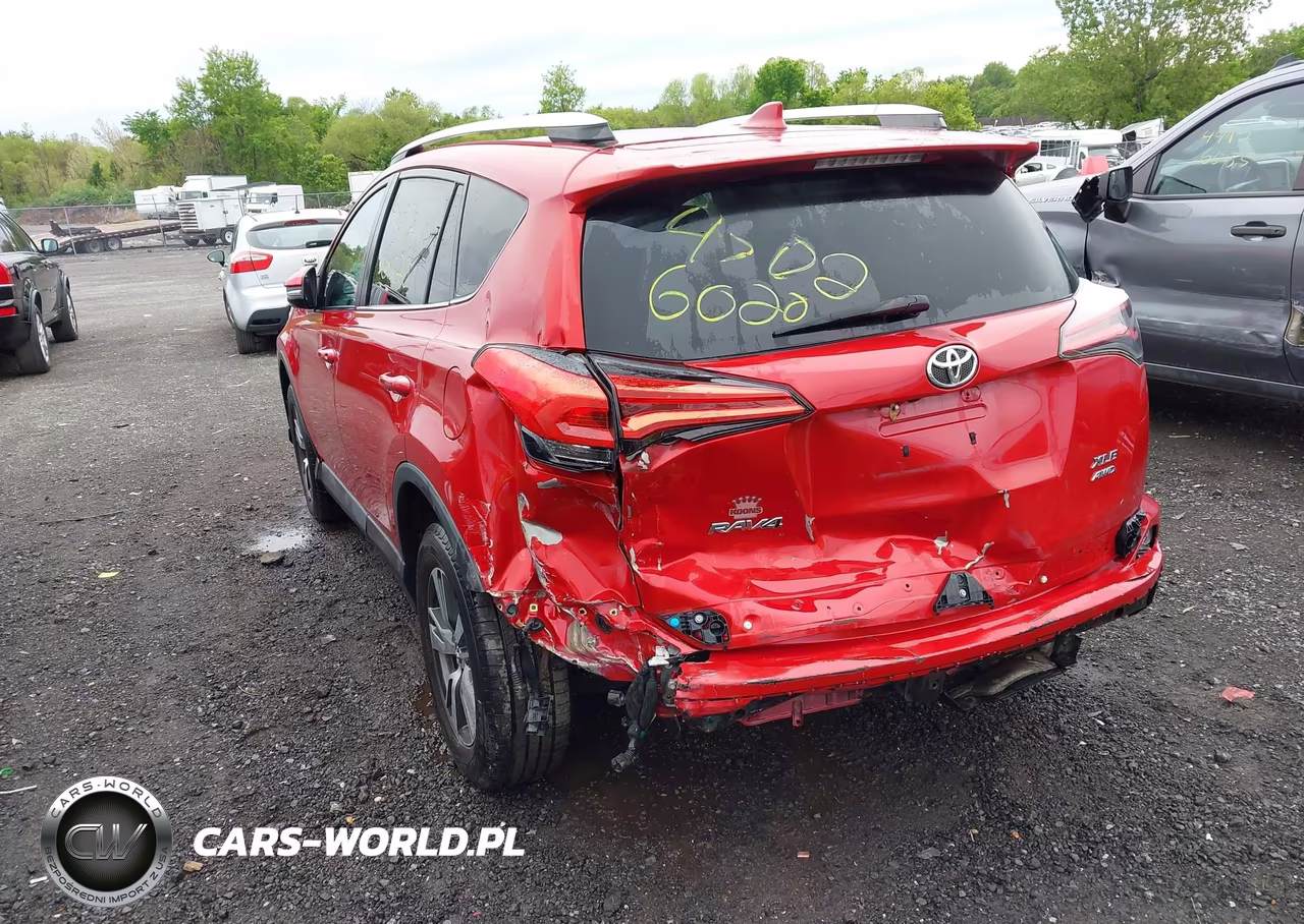 2016 Toyota Rav4 Xle VIN:2T3RFREV1GW436067 - 6