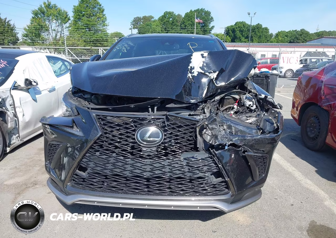 2019 Lexus Nx 300 F Sport VIN:JTJYARBZ5K2124737 - 12