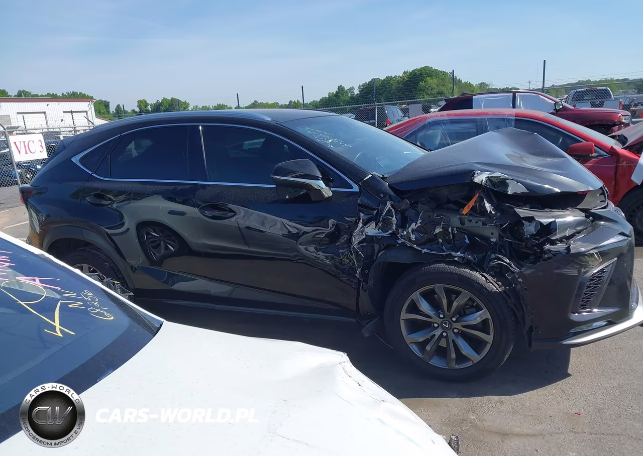 2019 Lexus Nx 300 F Sport VIN:JTJYARBZ5K2124737 - 13