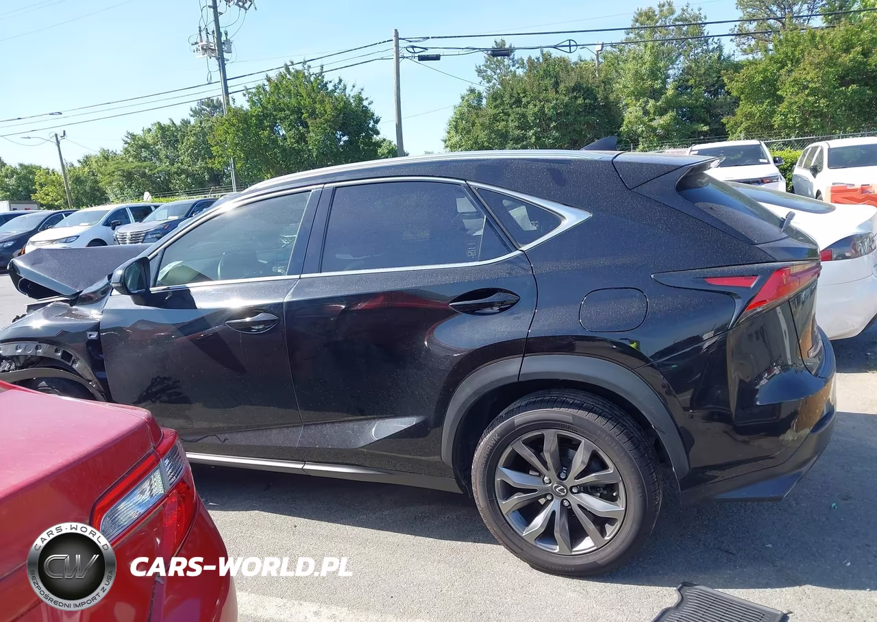 2019 Lexus Nx 300 F Sport VIN:JTJYARBZ5K2124737 - 14