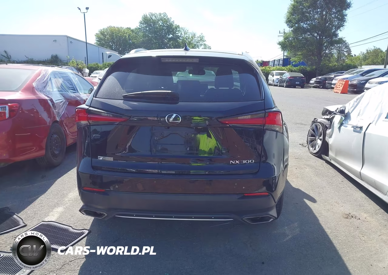 2019 Lexus Nx 300 F Sport VIN:JTJYARBZ5K2124737 - 16