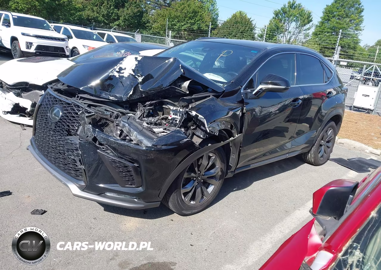 2019 Lexus Nx 300 F Sport VIN:JTJYARBZ5K2124737 - 2