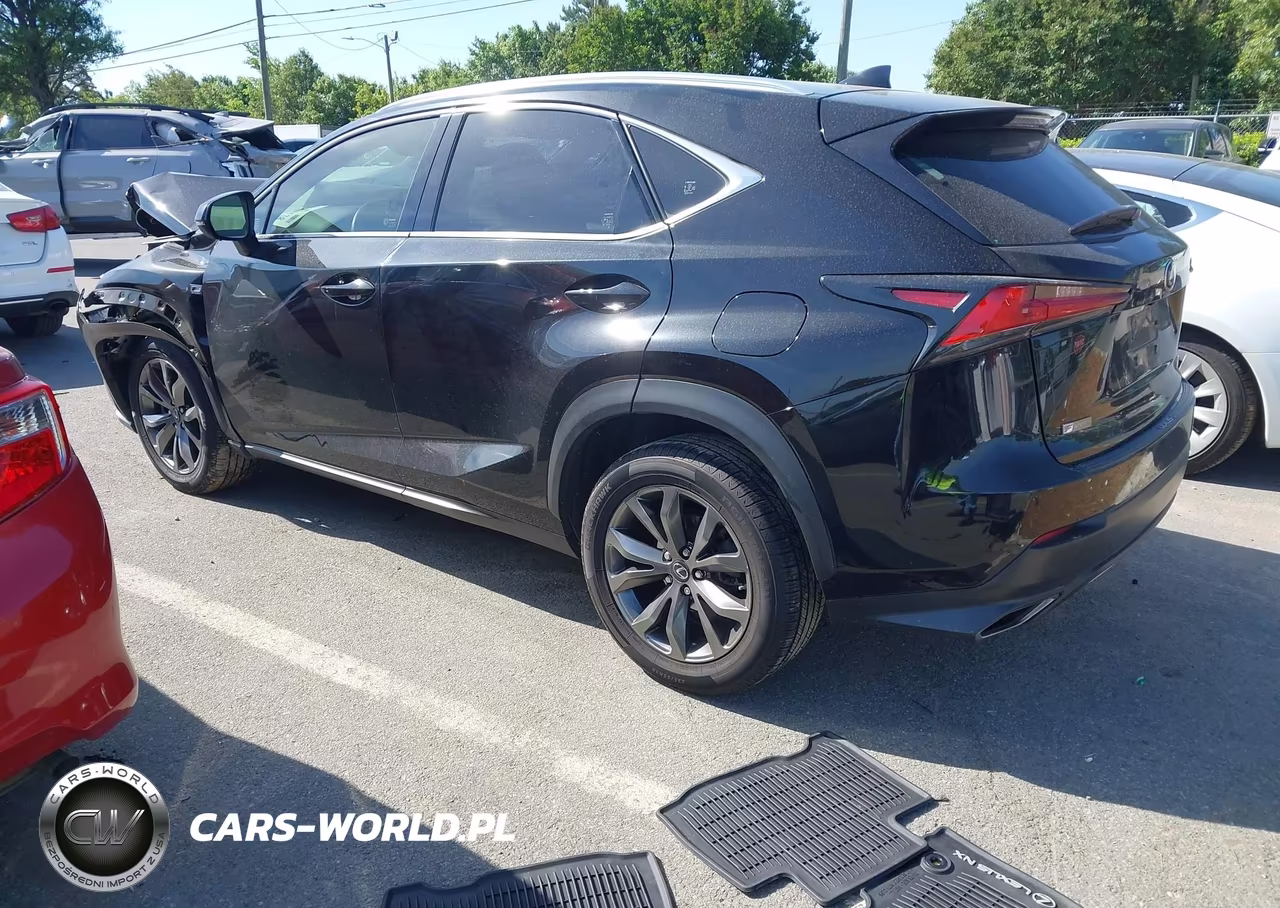 2019 Lexus Nx 300 F Sport VIN:JTJYARBZ5K2124737 - 3