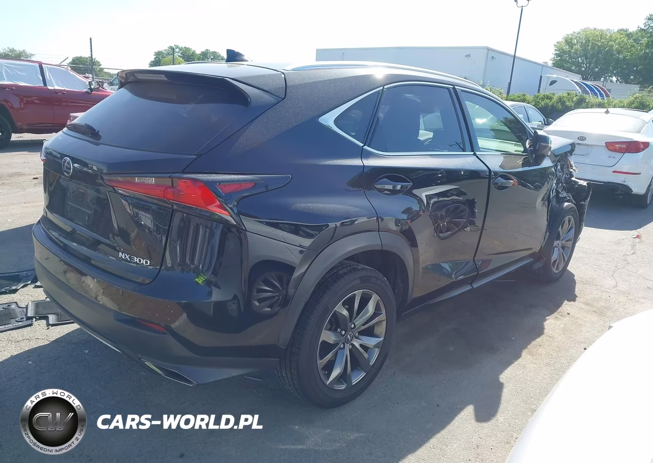 2019 Lexus Nx 300 F Sport VIN:JTJYARBZ5K2124737 - 4