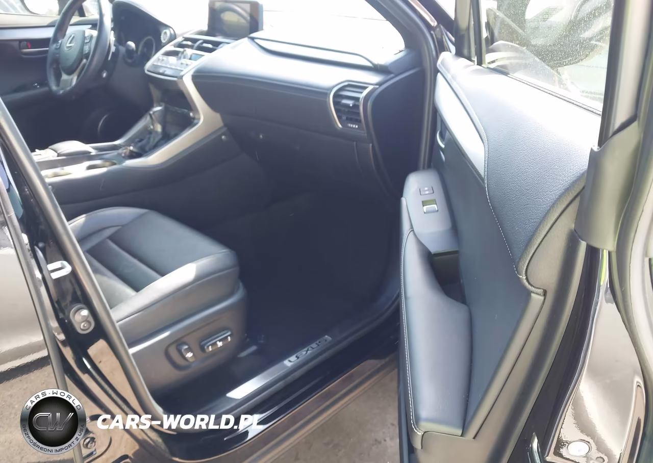 2019 Lexus Nx 300 F Sport VIN:JTJYARBZ5K2124737 - 5
