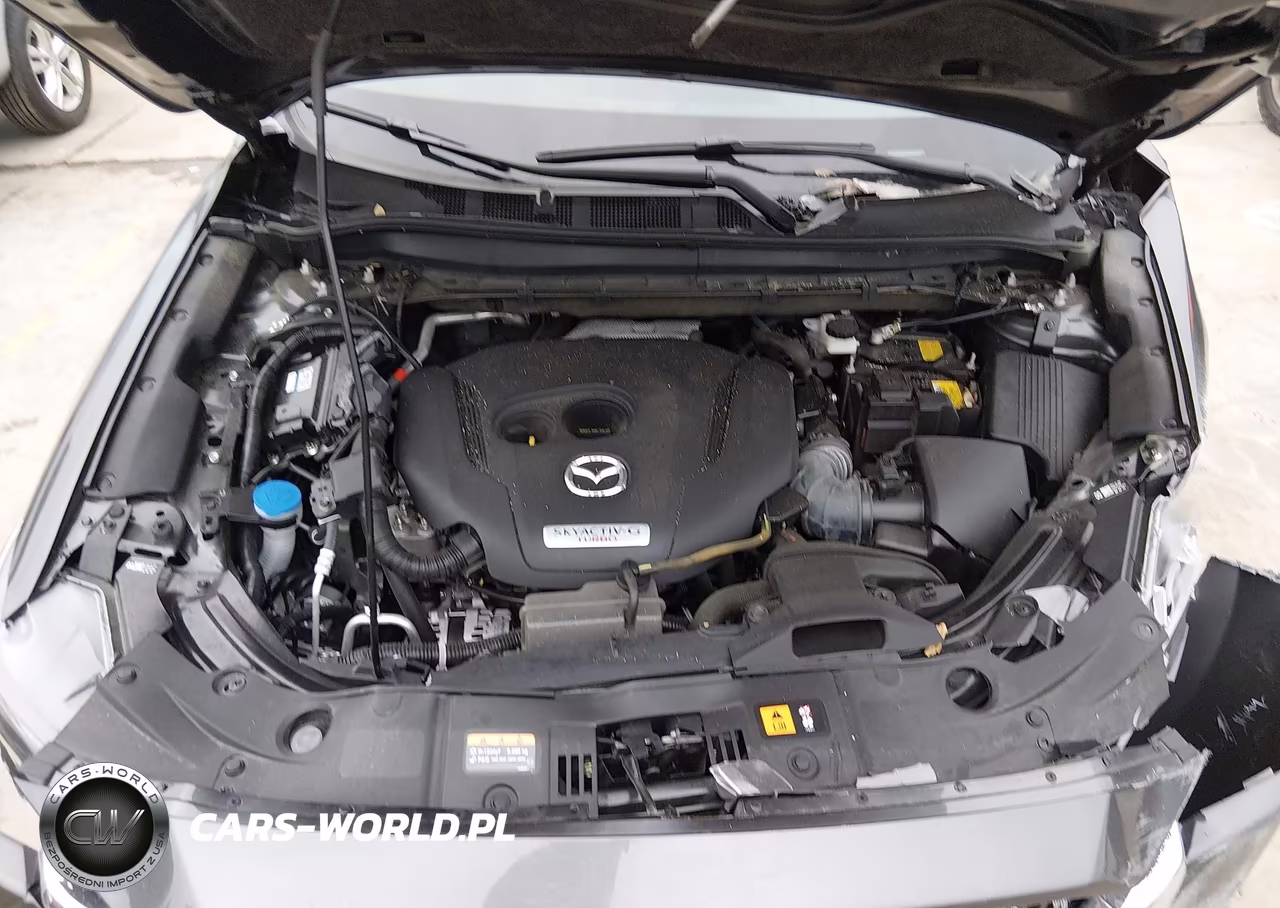 2025 Mazda Cx-5 2.5 Turbo Signature VIN:JM3KFBXYXS0598493 - 10