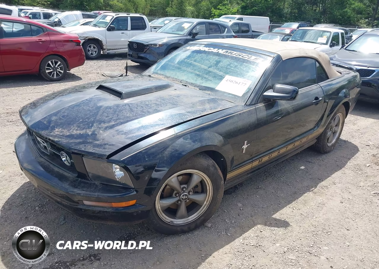 2006 Ford Mustang V6 VIN:1ZVFT84N265121756 - 2