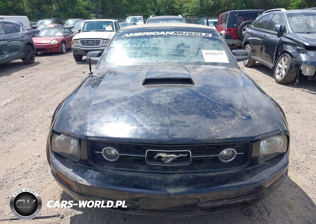 2006 Ford Mustang V6 VIN:1ZVFT84N265121756 - 6