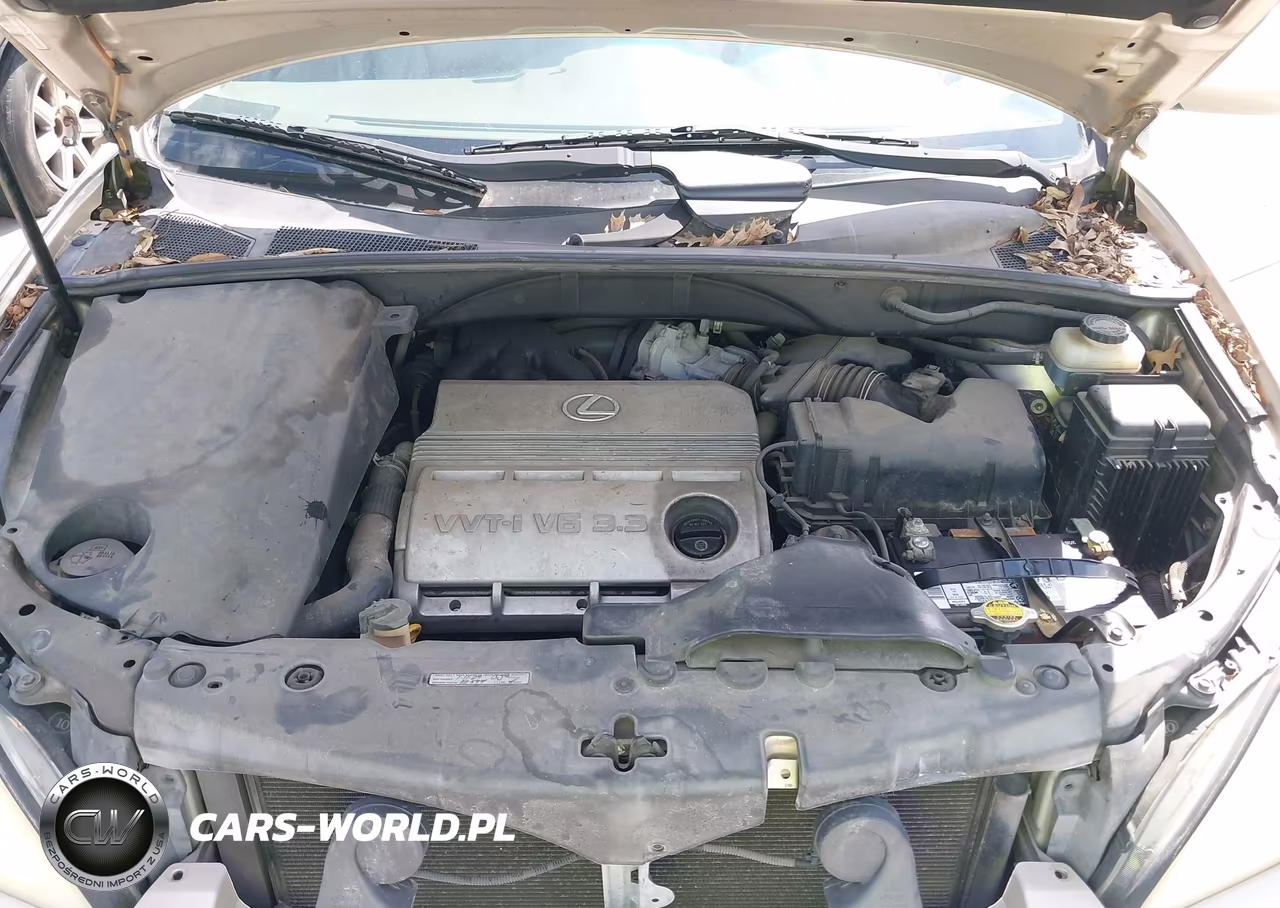 2004 Lexus Rx 330 VIN:JTJGA31UX40007894 - 10