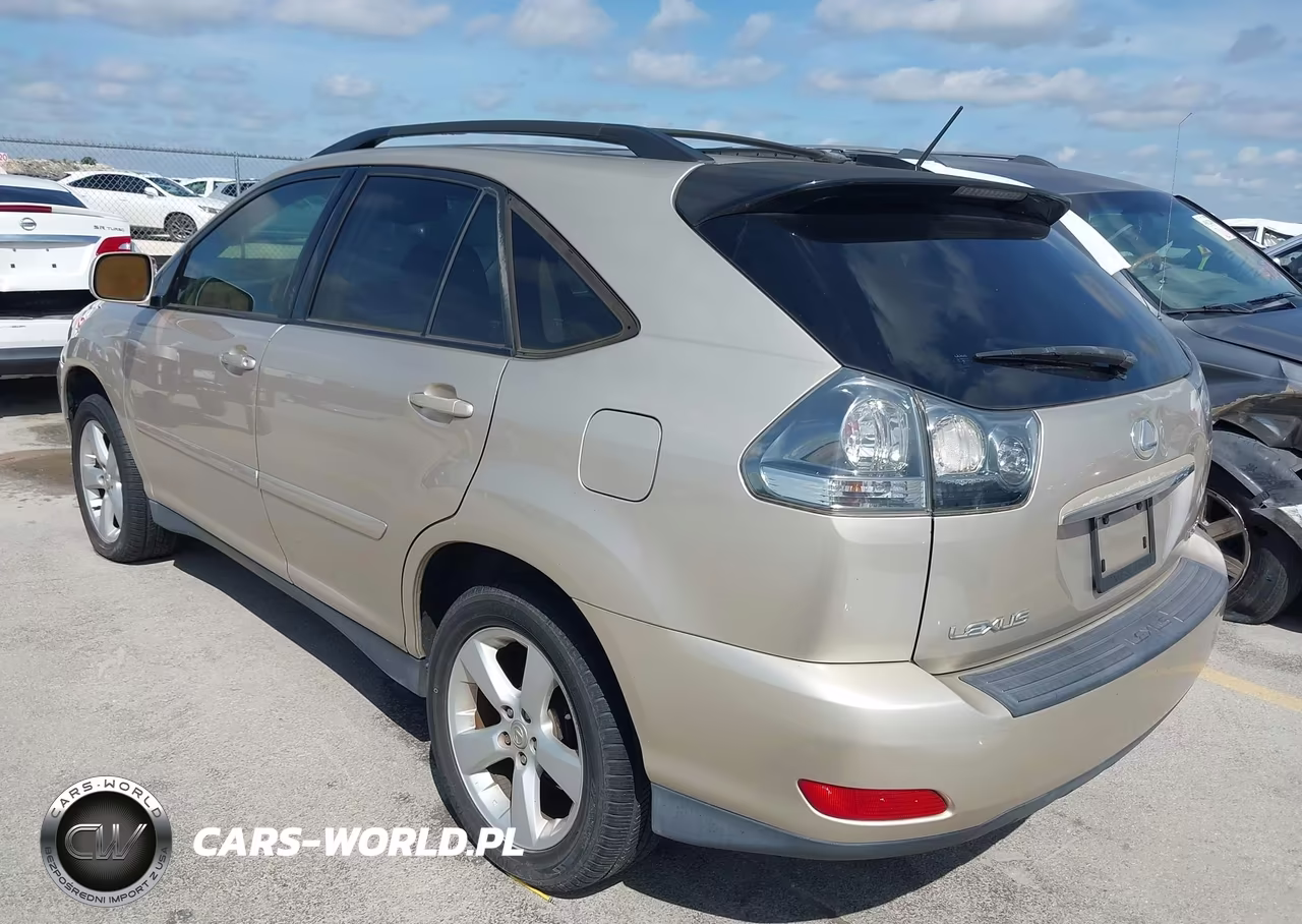 2004 Lexus Rx 330 VIN:JTJGA31UX40007894 - 3