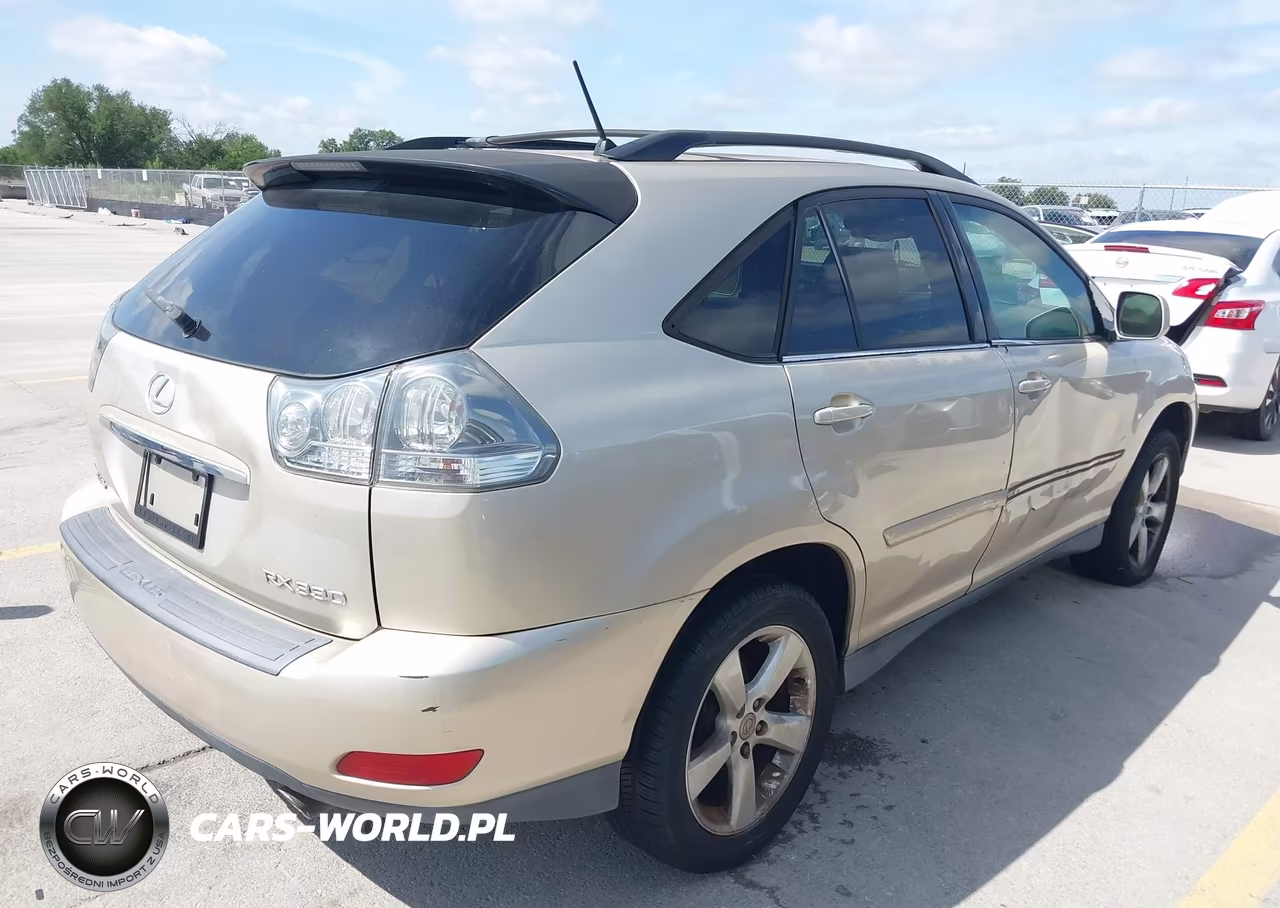 2004 Lexus Rx 330 VIN:JTJGA31UX40007894 - 4